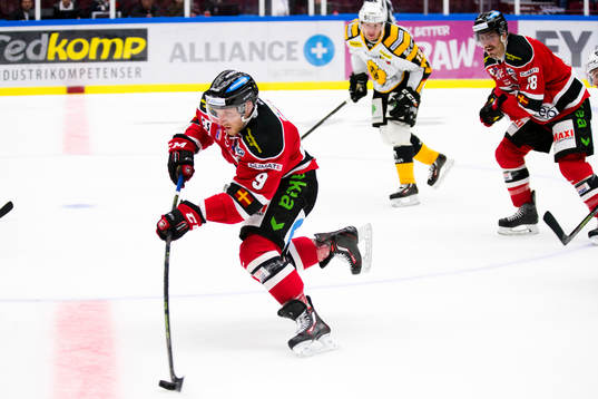 Malmö Redhawks Frederik Storm