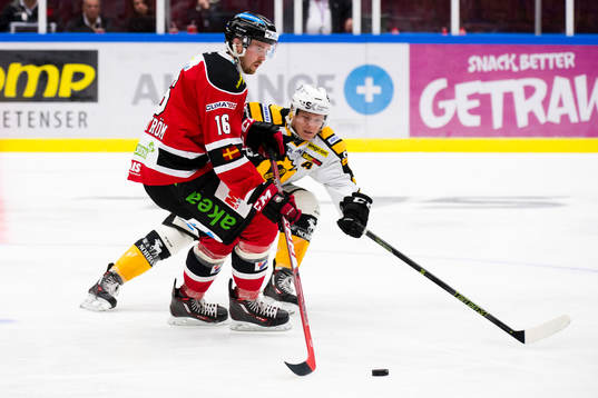 Malmö Redhawks Magnus Häggström