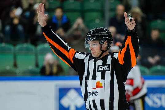 Domare Mikael Andersson