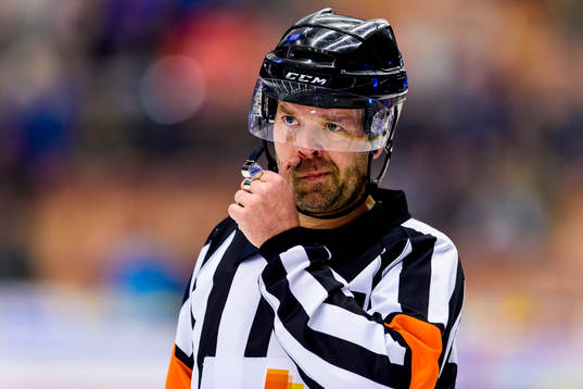 Domare Patrik Sjöberg