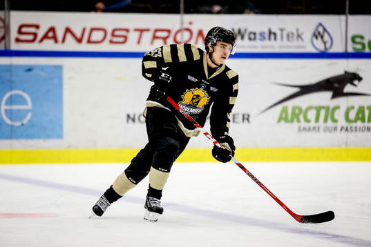 Skellefteås Sebastian Aho