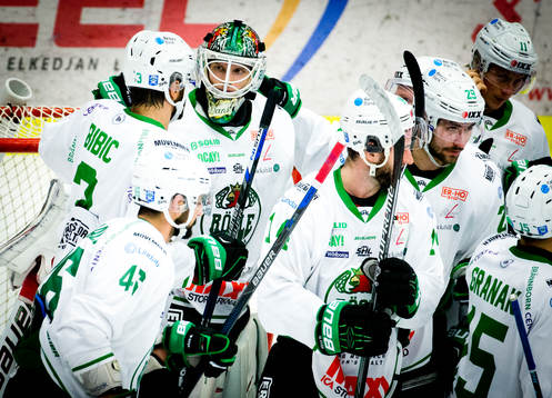 Rögles målvakt Oscar Dansk jublar