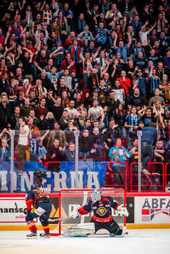 Djurgårdens supportrar bakom Djurgårdens d/under