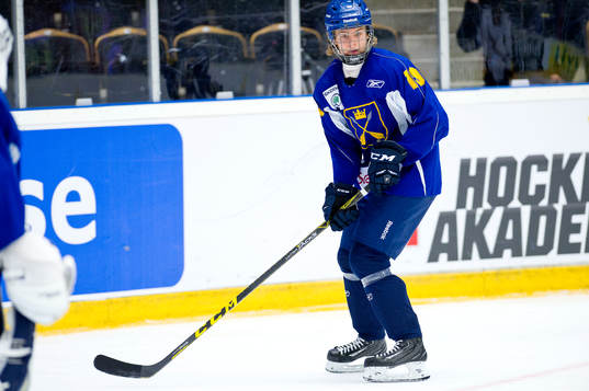 Dalarnas Filip Johansson