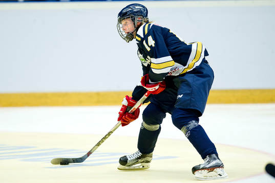Ångermanlands Lnus Pettersson