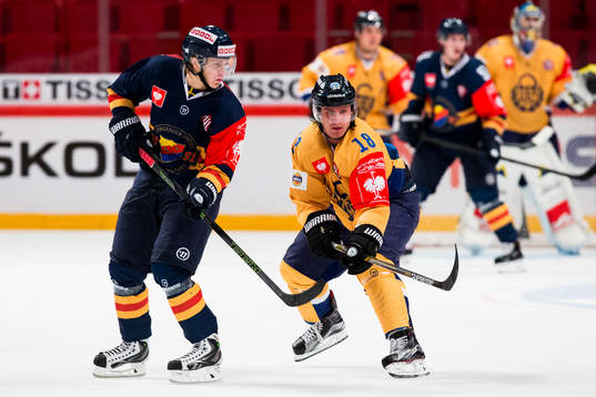 Djurgårdens Marcus Sörensen och Lukko Raumas Rony Ahonen