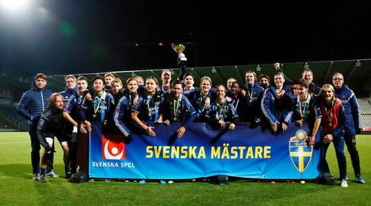Djurgården med bucklan