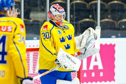 Sveriges målvakt Viktor Fasth