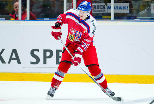 Tjeckiens Jakub Krejcik