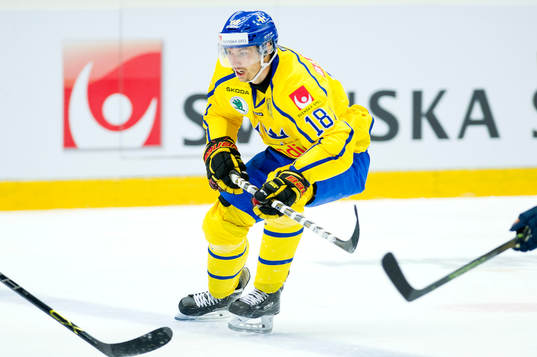 Sveriges Anton Rödin