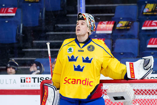 Sveriges målvakt Henrik Karlsson deppar