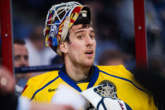 Sveriges målvakt Henrik Karlsson står i båset och