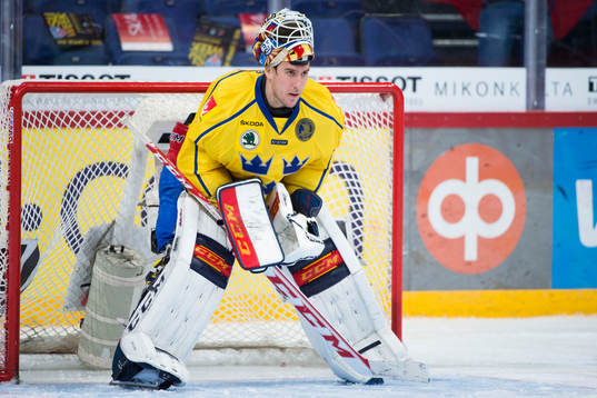 Sveriges målvakt Henrik Karlsson deppar