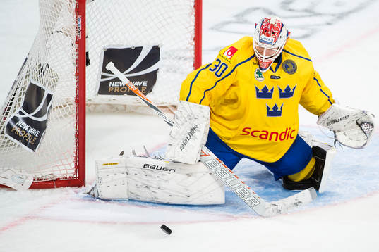 Sveriges målvakt Viktor Fasth