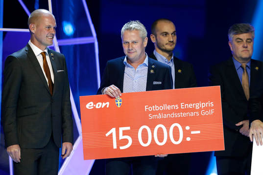 Smålandstenar vinner energipriset