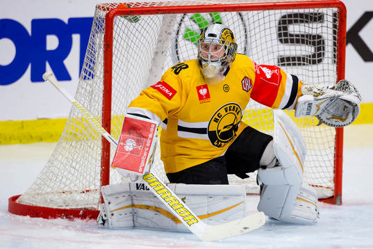 Litvinovs målvakt Michael Petrasek