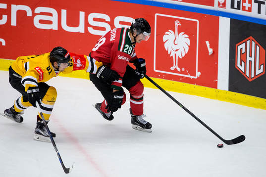 Litvinovs Lukas Valek