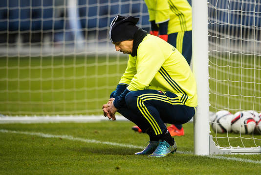 Zlatan Ibrahimovic hostar