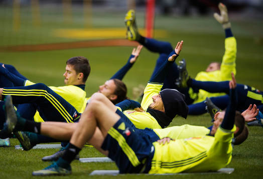 Zlatan Ibrahimovic stretchar