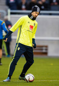 Zlatan Ibrahimovic hostar