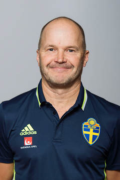 Johan Allgulander, naprapat för Sveriges fotbollslandslag