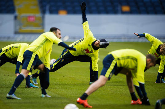 Zlatan Ibrahimovic stretchar