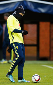 Zlatan Ibrahimovic