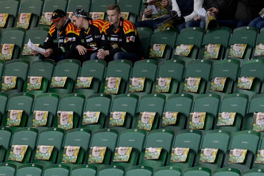 Brynäs supporters
