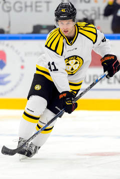 Brynäs Greg Scott