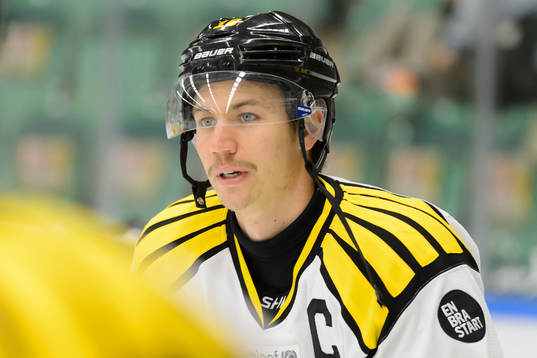 Brynäs Anton Rödin