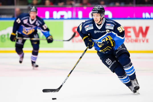 s Ted Brithén