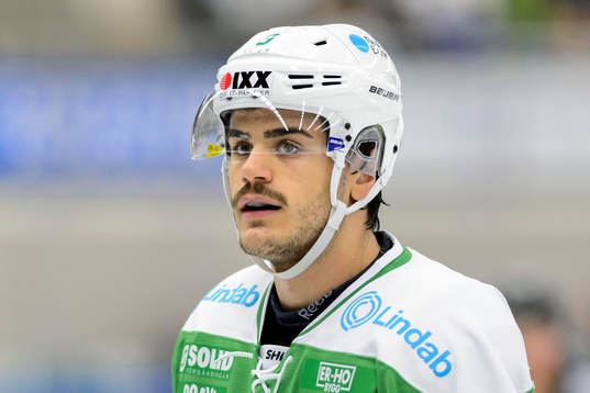 Rögles Almen Bibic