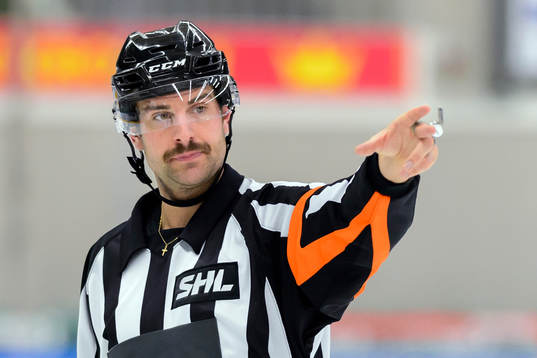Domare Mikael Sjöqvist