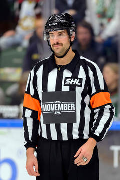 Domare Mikael Sjöqvist