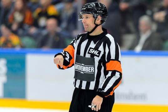Domare Wolmer Edqvist
