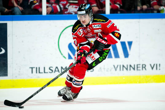 Malmö Redhawks Nils Andersson