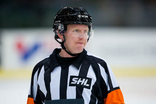 Domare Mikael Holm