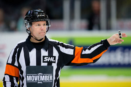 Domare Wolmer Edqvist