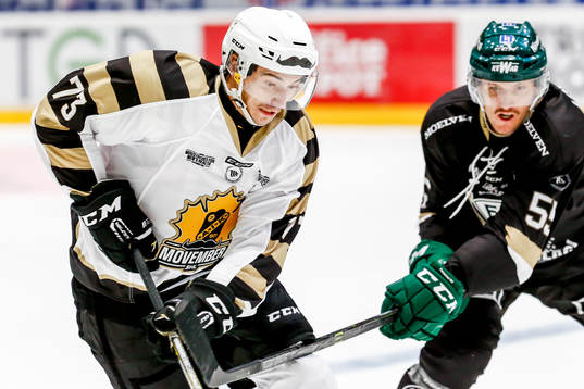 Skellefteås Terry Broadhurst och Färjestads Ole-Kristian
