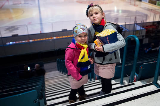 Två Djurgården supportrar