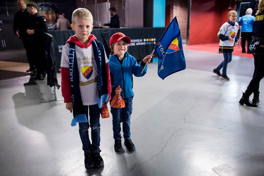 Djurgården supportrar