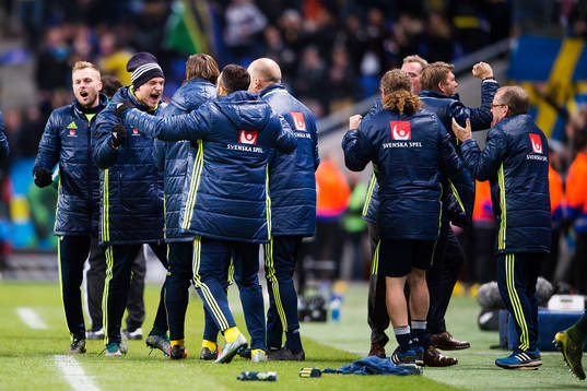 Sveriges spelare med Sebastian Larsson och John Guidetti