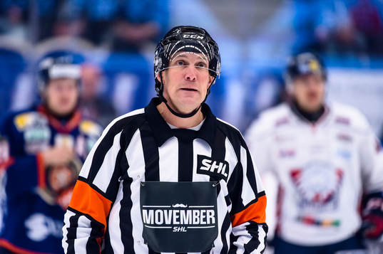 Domare Morgan Johansson