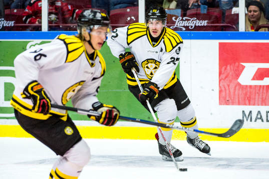 Brynäs Jörgen Sundqvist