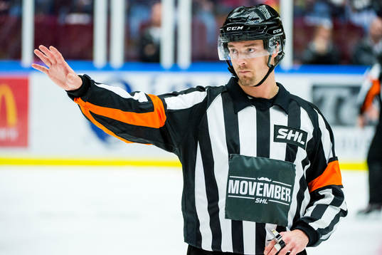 Domare Mikael Andersson
