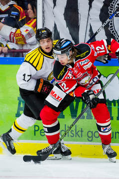 Brynäs Pathrik Westerholm och Malmö Redhawks Andreas