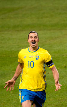 Sveriges Zlatan Ibrahimovic jublar