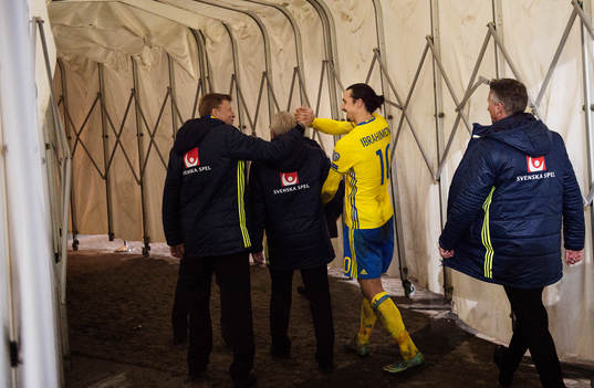 a vice ordförande Svenska Fotbollförbundet, jublar