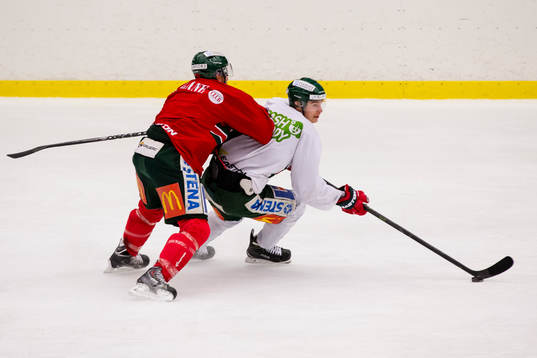 Frölundas Joel Lundqvist försöker stoppa Johan Sundström
