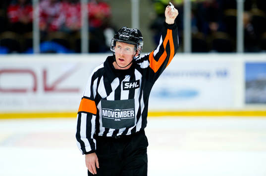 Domaren Mikael Holm
